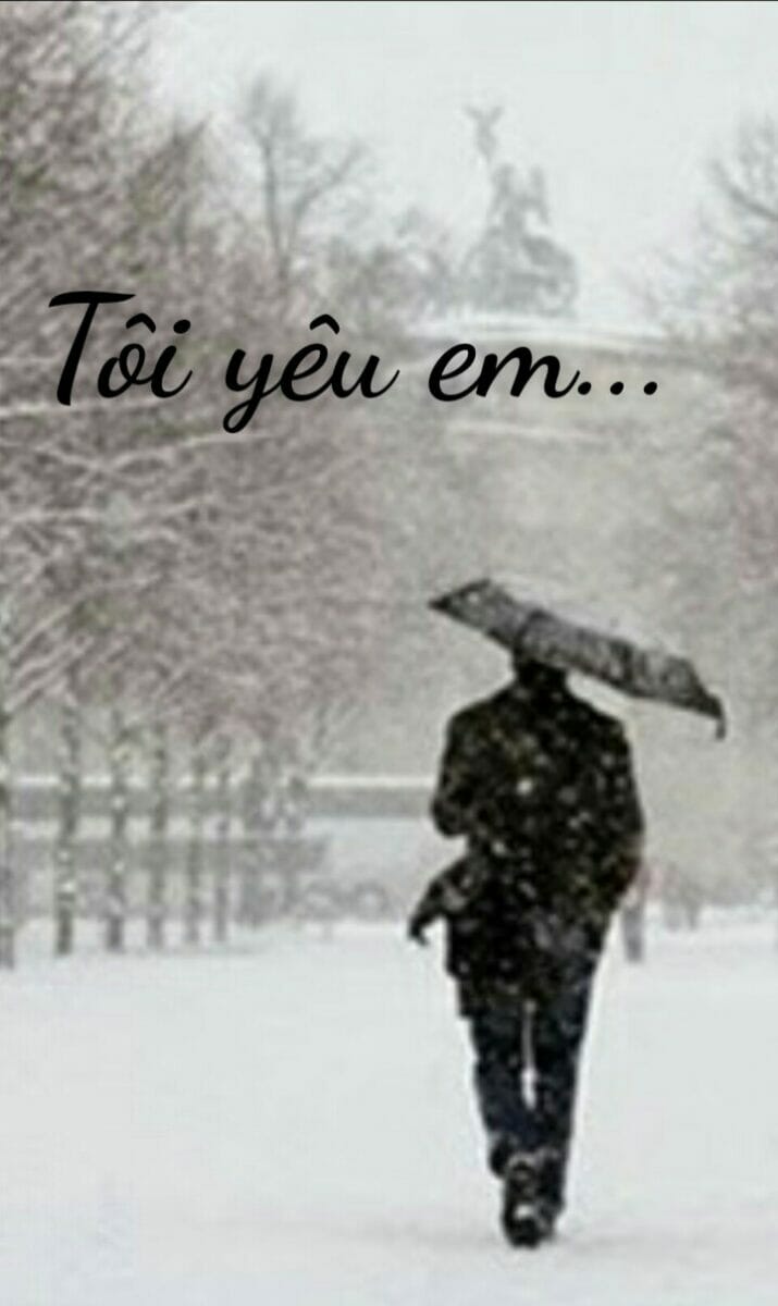 z4008362769886_f14b1dad5c1f1807cb8aba3b92ace679